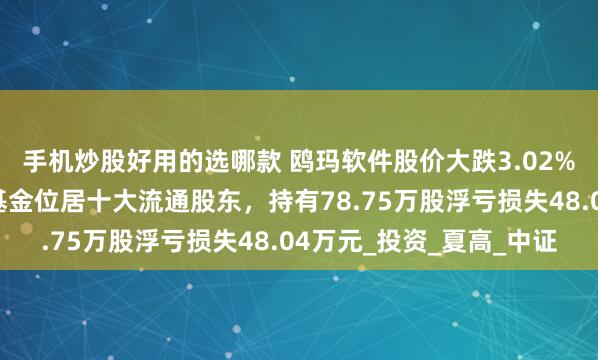手机炒股好用的选哪款 鸥玛软件股价大跌3.02%，大成基金旗下1只基金位居十大流通股东，持有78.75万股浮亏损失48.04万元_投资_夏高_中证