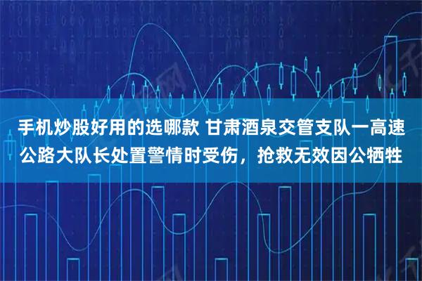 手机炒股好用的选哪款 甘肃酒泉交管支队一高速公路大队长处置警情时受伤，抢救无效因公牺牲