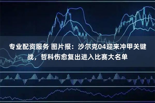 专业配资服务 图片报：沙尔克04迎来冲甲关键战，哲科伤愈复出进入比赛大名单